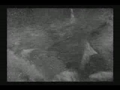 The Beast From 20,000 Fathoms