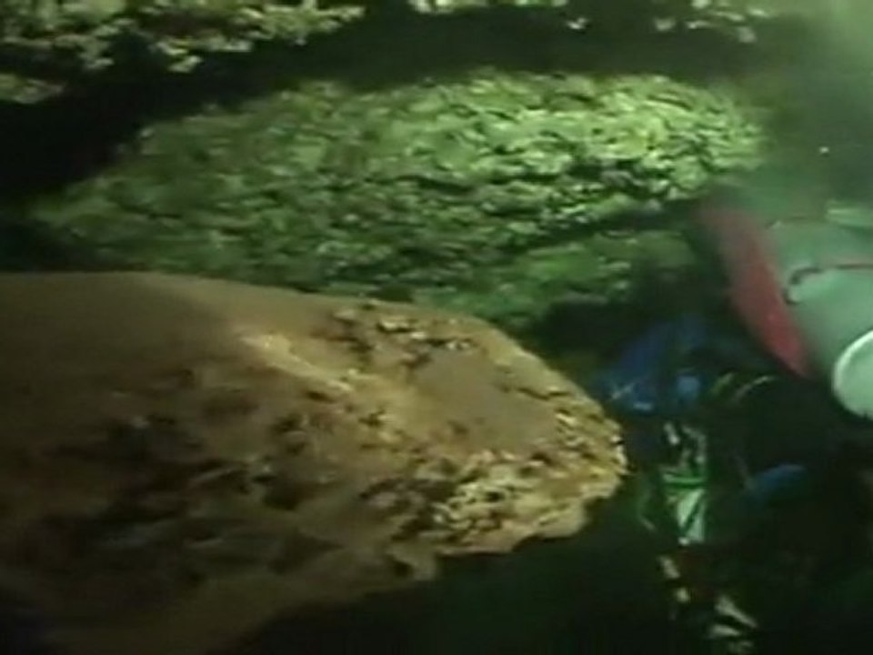 Les cénotes du Yucatan - 2006