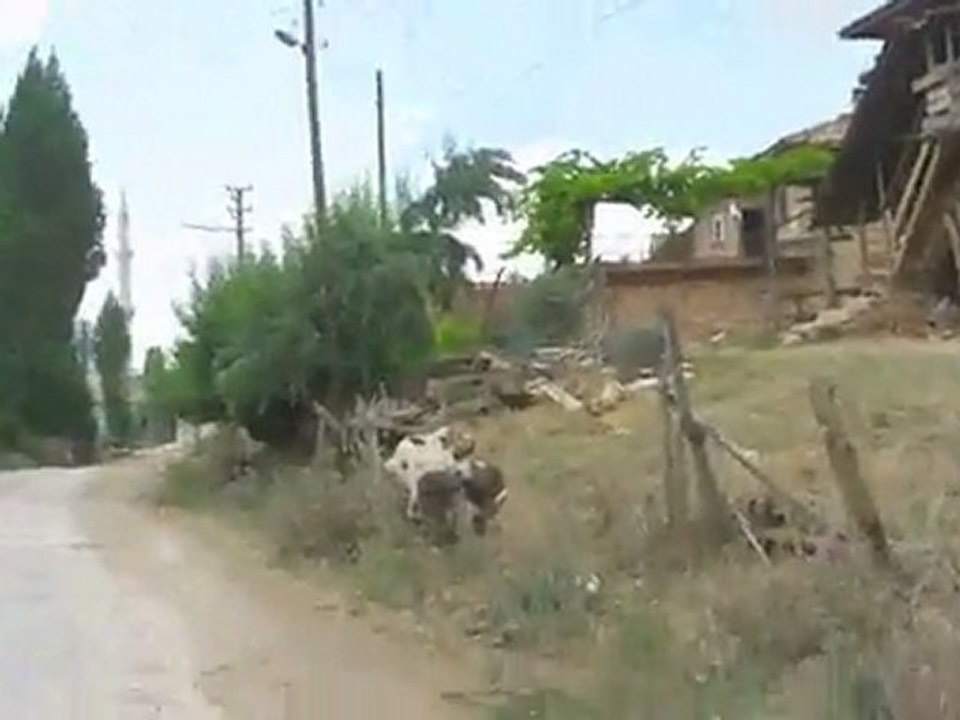 2010 Usak Banaz Sabanköy' de gezinti by Eyidilli