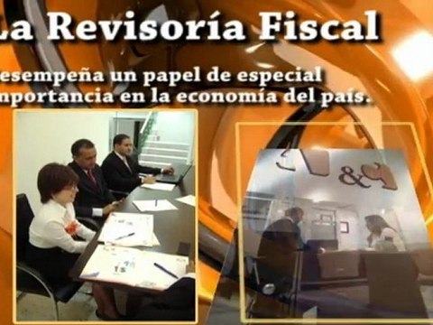 ¿Qué es la Revisoría Fiscal y cuál es su Importancia?