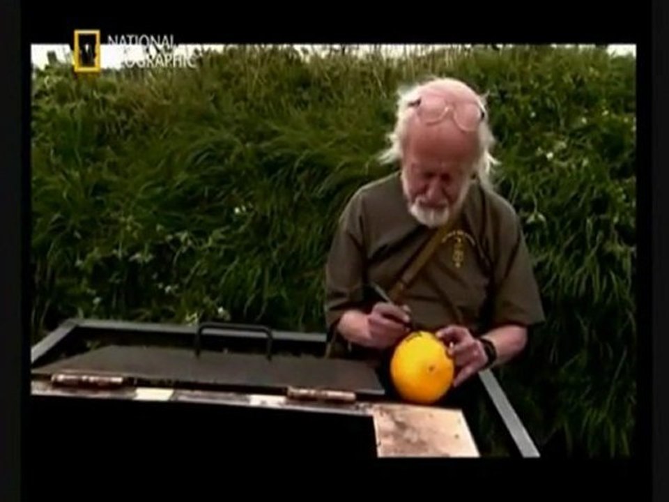 Machines de Guerre - les tanks (2 de 3)