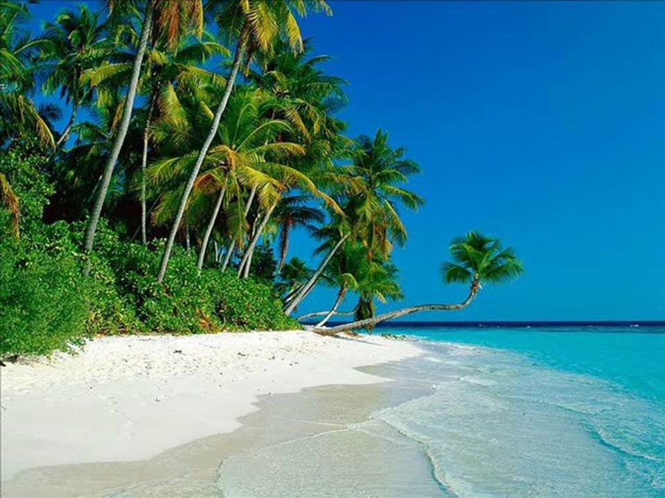 paradise 3001 - pacific waves