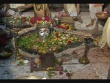 46. Shiv ke Bhakt jano ne Pukaara (Triyambakeshwar)