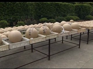 Begin Japanology S1E12 Firework