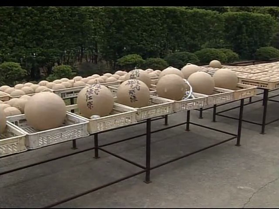 Begin Japanology S1E12 Firework