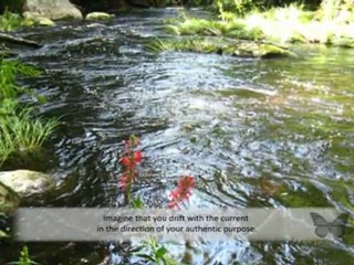 Creating Abundance: Wisdom For Success