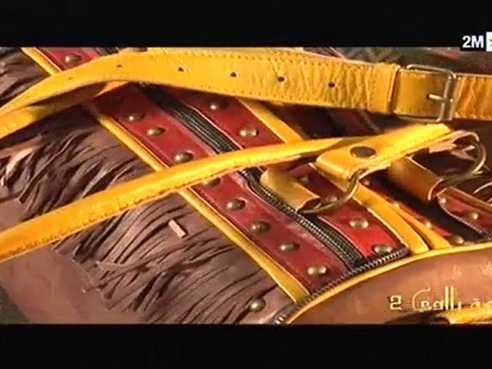 أسفاني أنس