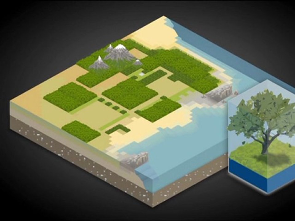 Videografik: Der Kohlenstoff-Kreislauf