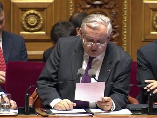 La gauche fait voter au Sénat le droit de vote des étrangers