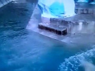 Медвежья купель