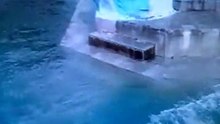 Медвежья купель