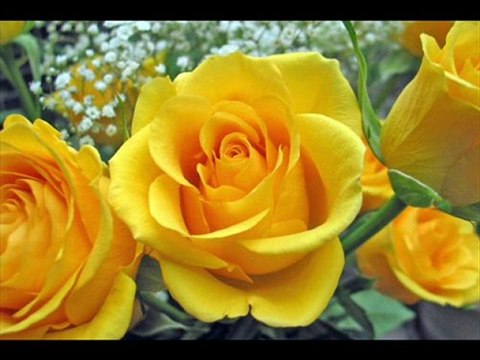 GÖRMEDİM ÖMRÜMÜN ASUDE GEÇEN BİR DEMİNİ