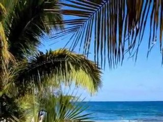 P'tite fleur fanée  Graeme Allwright