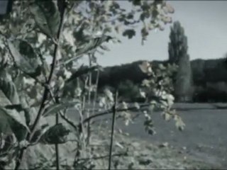 2WIRED - KRAFT durch FREUDE [FullHD]