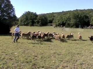 Elan Larzac Concours 2011