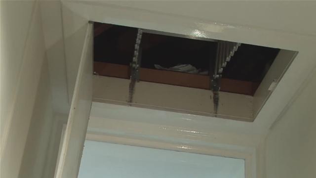 How To Trap Squirrels In The Attic