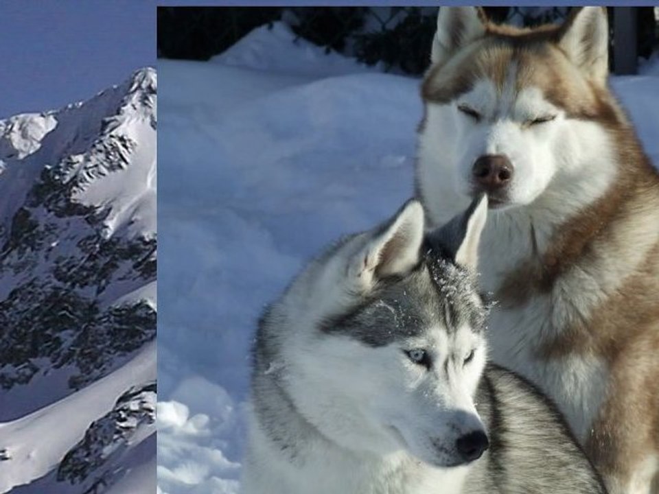 And WINTER came*** Voici l'Hiver***