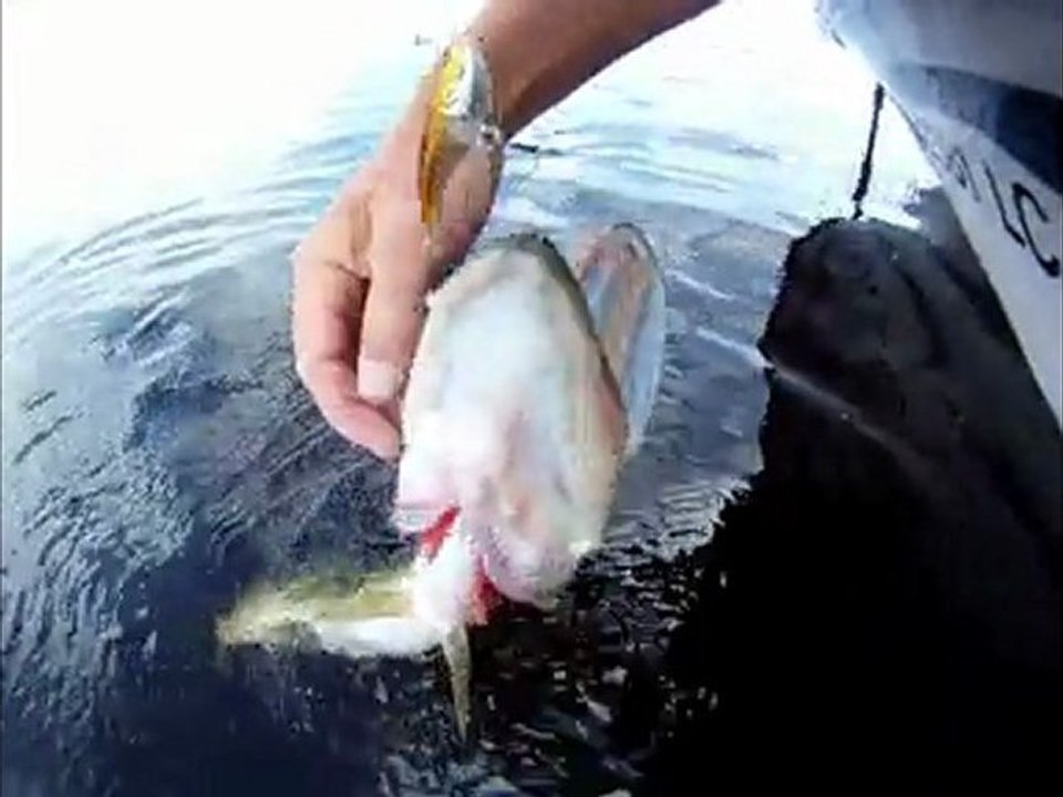 okeechobee