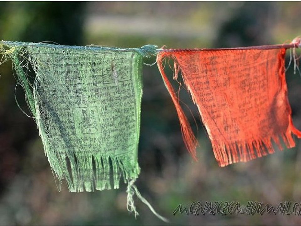 TIBETAN FEELINGS IN BERNIS