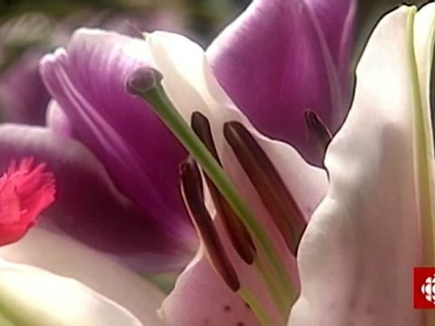 Découverte - Le bras robotisé Jaco