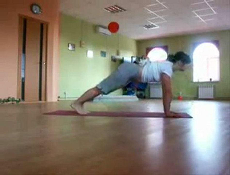 Yoga Cat