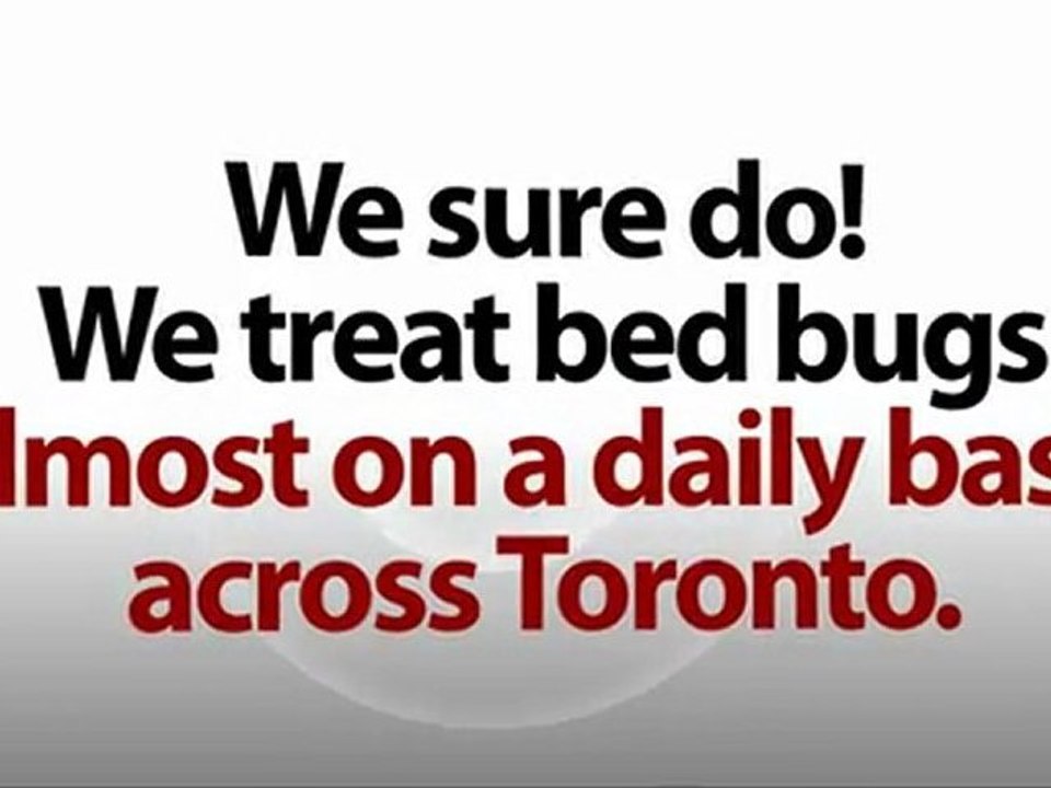 Pest Control Toronto - 247 Pest Control