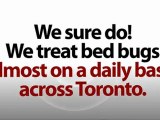 Pest Control Toronto - 247 Pest Control