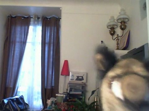 Wiwi muppetshowise l'hélicoptère