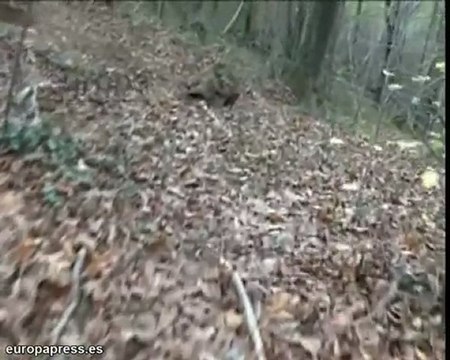 El 'zulo' de ETA contenía 34 kilos de nitrato