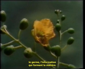 Légende de l'Atlantide-Prophéties Secrètes de l'Apocalypse FR 1/5