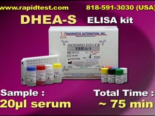DHEA-S ELISA kit