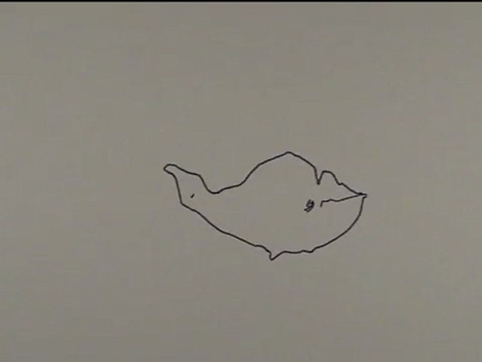 dehasse-co baleine