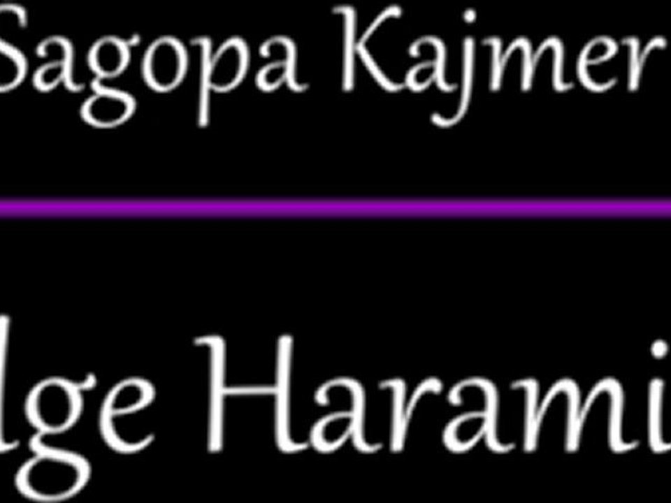 Gölge Haramileri