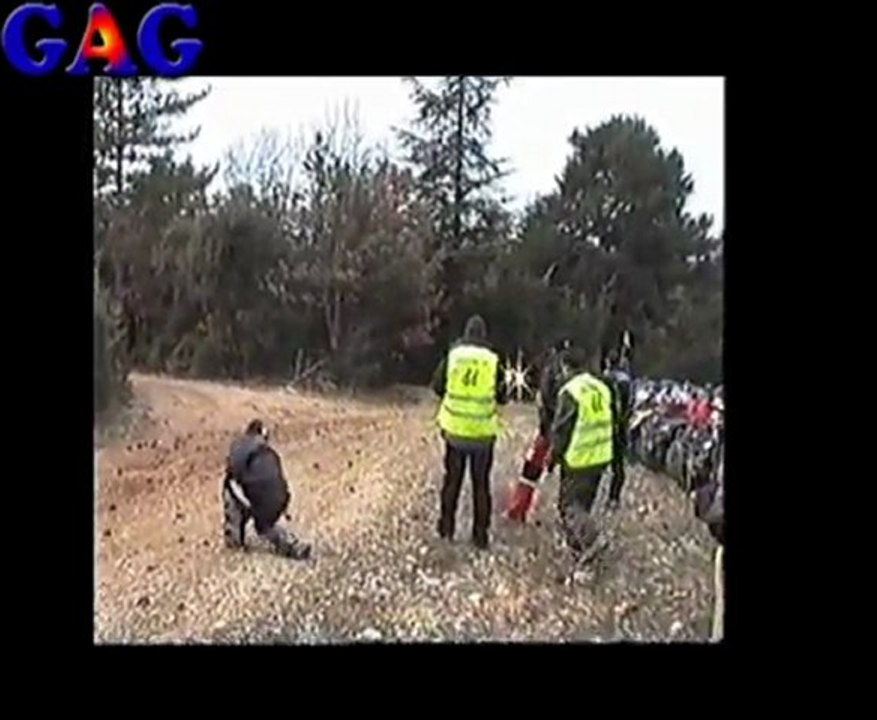 pendant les pauses quelques pommes de pins dans la G.....