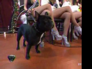 Paula en SM 1 (previa) - 09 de Diciembre