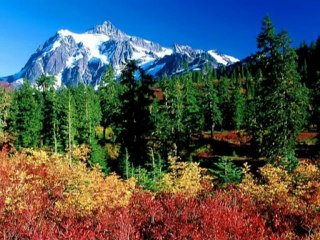 Kardeş Türküler-Herkes kendi gördüğüne doğru der ya