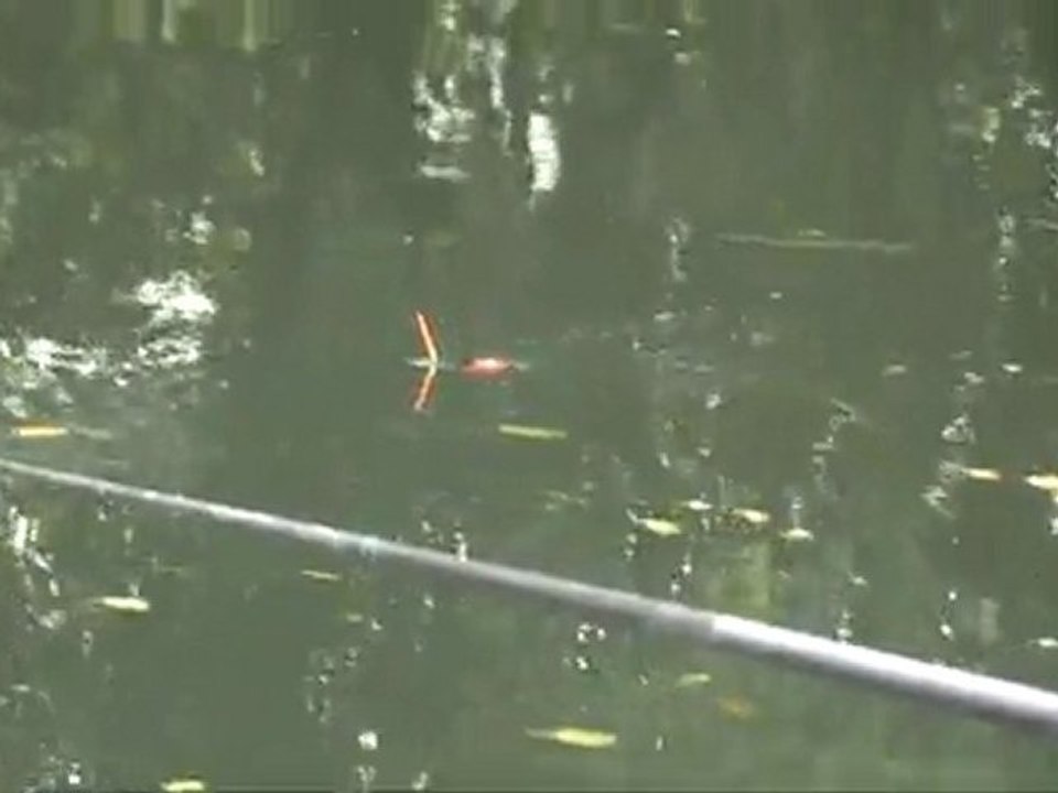 Finale Européenne Sensas Abbeville Secteur D 2011