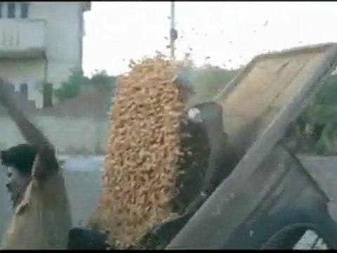 Η καλύτερη σκηνή δράσης Ever