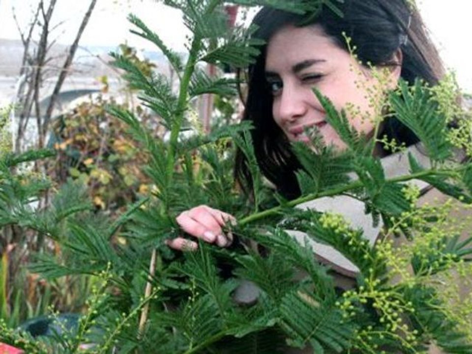 Jeux Actu - Emission 231 sur la péniche Al Alamein