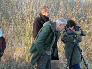 Hollogne sur Geer -première partie- automne 2011