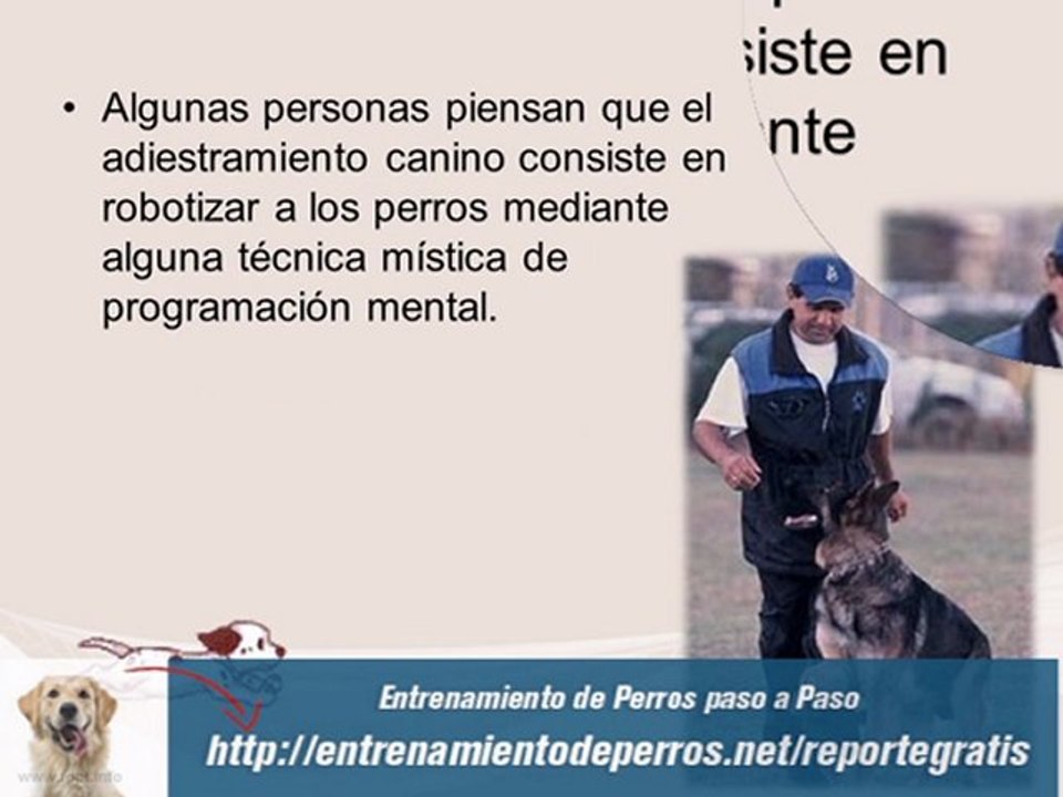 Curso de Adiestramiento Canino Gratis