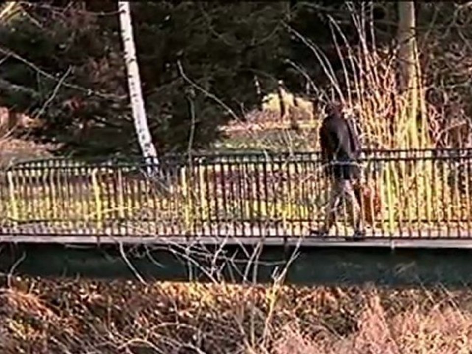 Dans le style" clip de variété française"