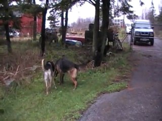 Anara Kyrie and Keona Playing