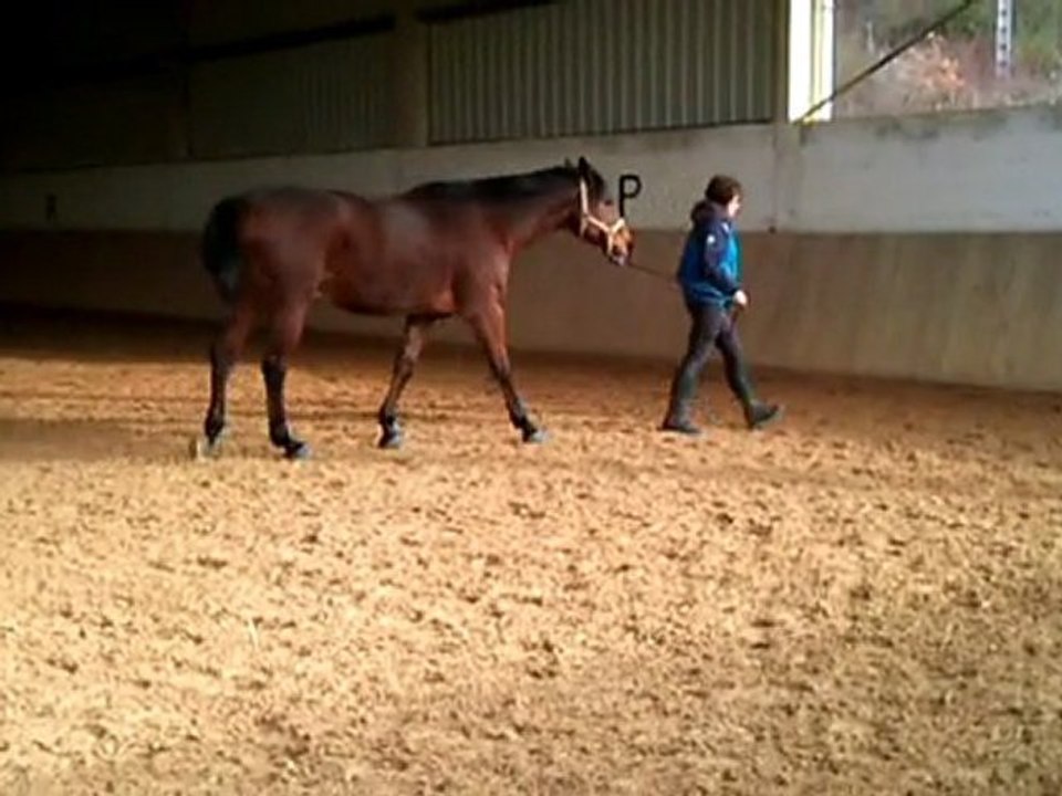 orient9decembre2011