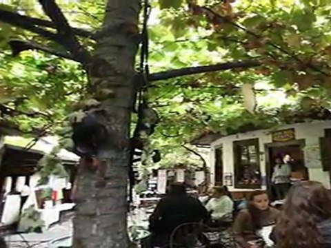 Hasan Alp Hasan Alp & Erol Büyükburç Klip