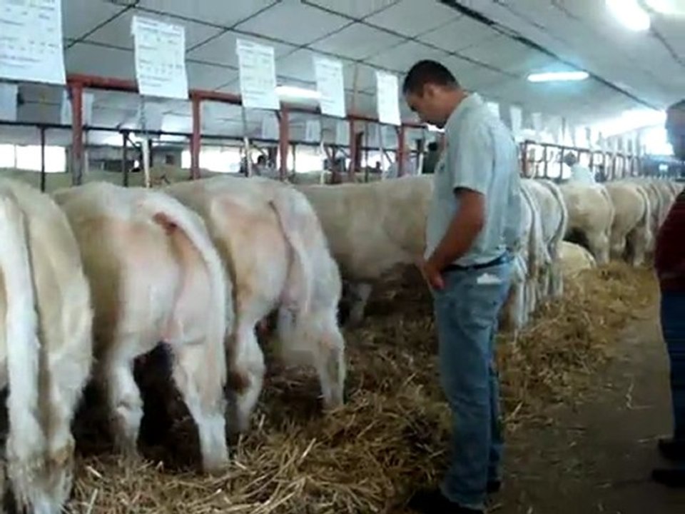 ventes au gaec de gueurce 117