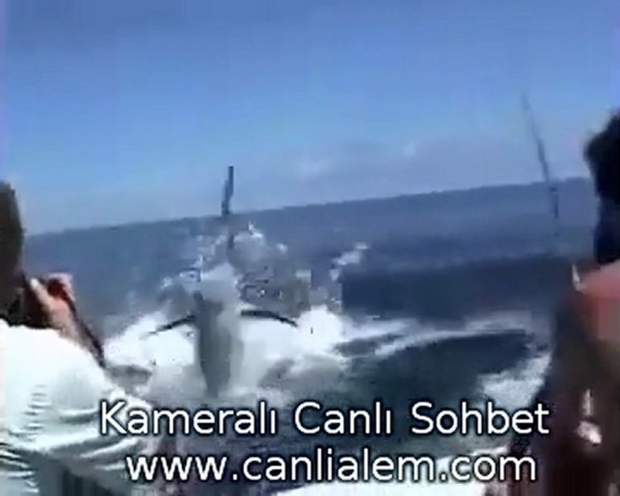 Kılıç balığının intikamı izle www.canlialem.com