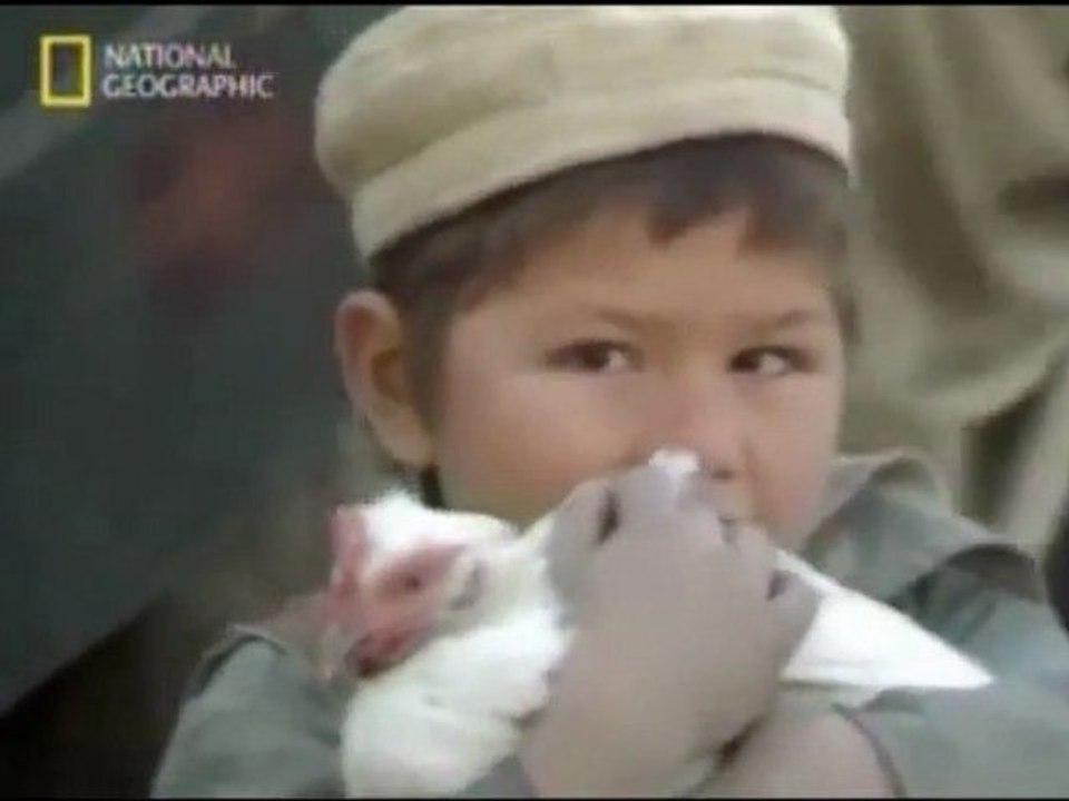 l'histoire du 11 septembre 2001 (1 de 13) histoire d'Al Quaïda - documentaire national geographic channel - "documentaire Al Quaïda" - "l'histoire secrète du 11 septembre 2001"