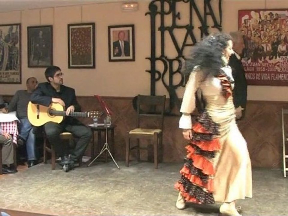 POESIA Y FLAMENCO- PEÑA FLAMENCA JUAN BREVA- MÁLAGA- 25 DE NOVIEMBRE -4/9