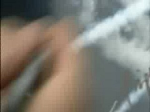 Swiss Air Force -F5 tiger II patrouille